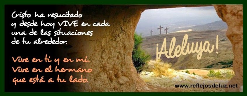 Aleluya_reflejosdeluz.jpg